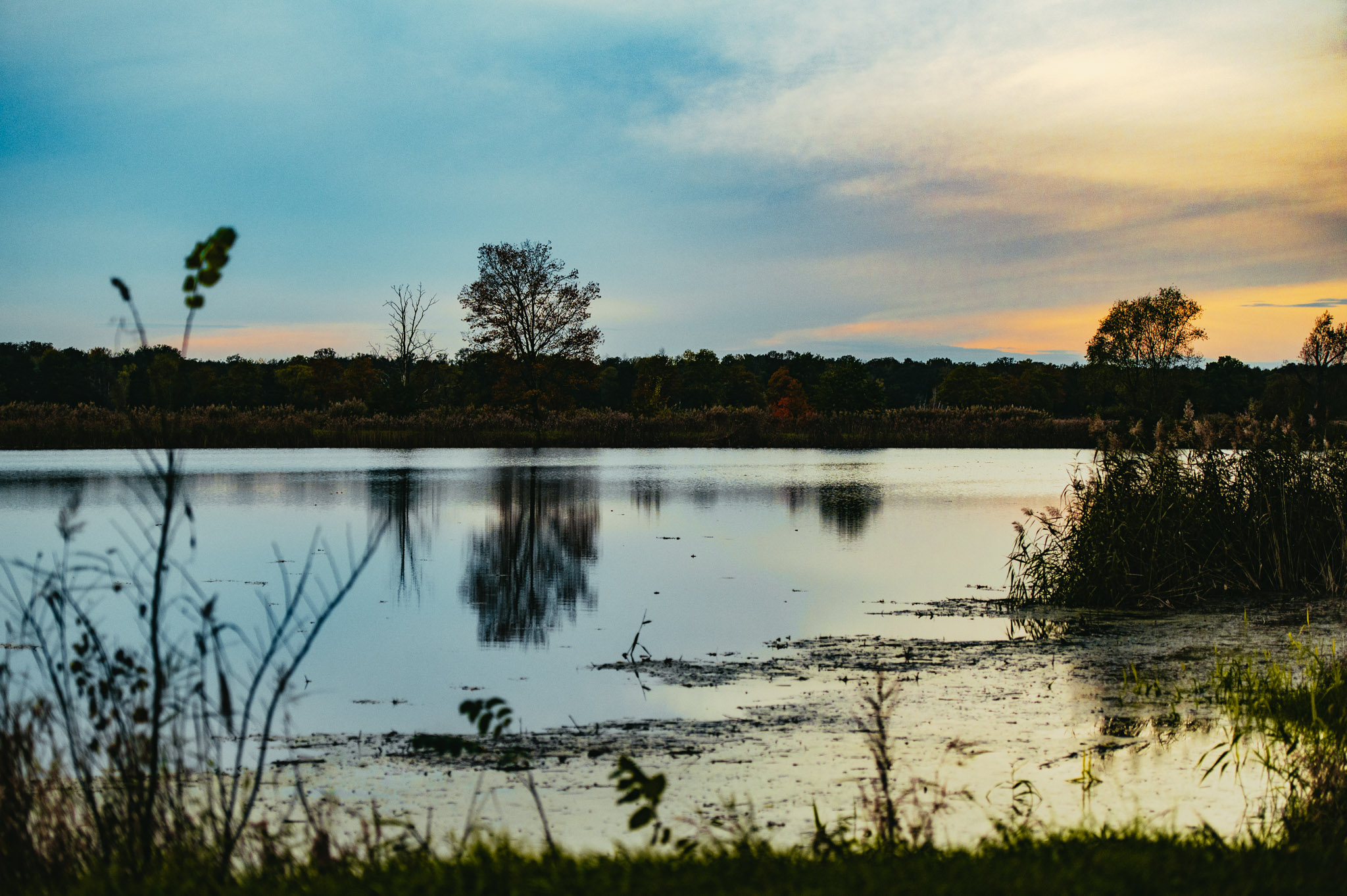Lato w Dolinie Baryczy – Czas na Odkrywanie Przyrody i Relaks
