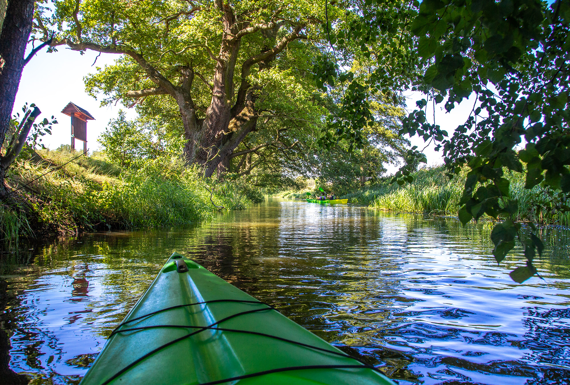 Najlepsze miejsca na piknik w Dolinie Baryczy – propozycje tras i zakątków